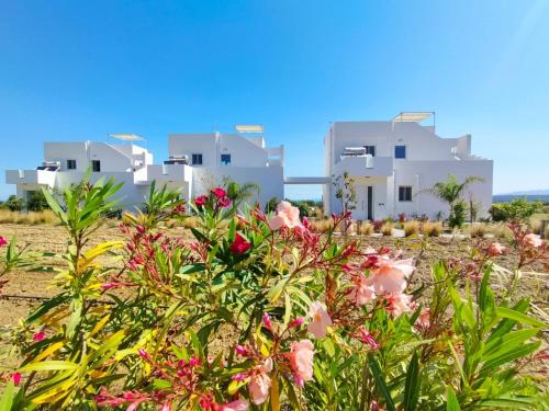 Saint Nicholas Houses