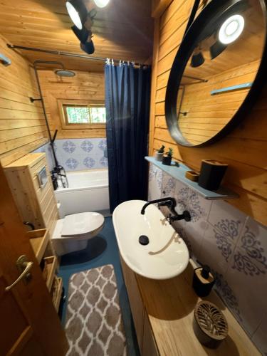 Ujsoły Chill House في ويسولي: حمام مع حوض ومرحاض ومرآة