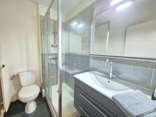 ein Badezimmer mit Waschbecken, Toilette und Dusche in der Unterkunft Le Berthelot #Parking in Clermont-Ferrand