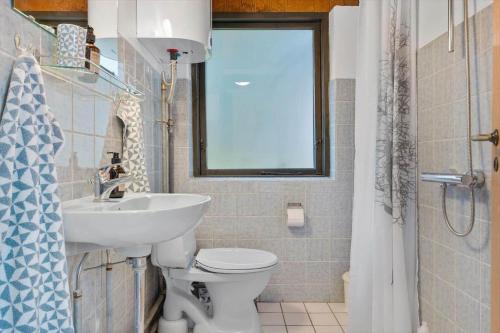 a bathroom with a sink and a toilet and a window at LF18112-Veslos-Jegindovej-12 in Amtoft