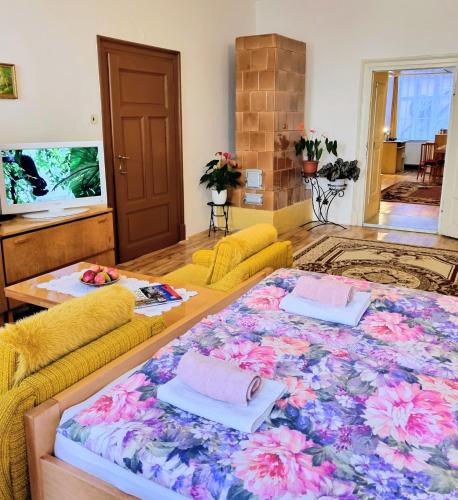 Apartment in a historical house in the center of Levoča