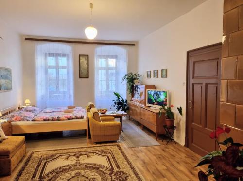 a bedroom with a bed and a couch and a tv at Apartment in a historical house in the center of Levoča in Levoča