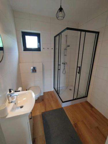 a bathroom with a shower and a sink and a toilet at Malëna Mausz in Parchowo