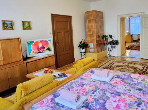 a living room with a couch and a table at Apartment in a historical house in the center of Levoča in Levoča