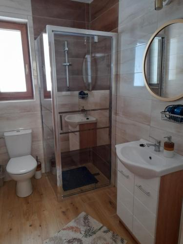 a bathroom with a shower and a toilet and a sink at Domki nad Borem in Male Ciche