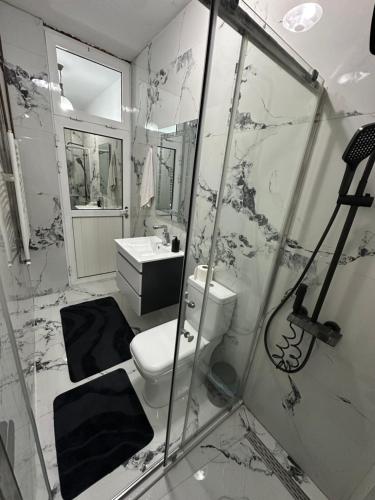 a bathroom with a toilet and a sink at Emir's Apartment in Pristina