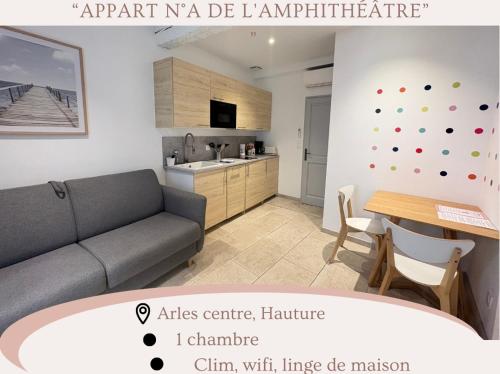 Η κουζίνα ή μικρή κουζίνα στο Holiday in Arles: Appartement de l'Amphithéâtre