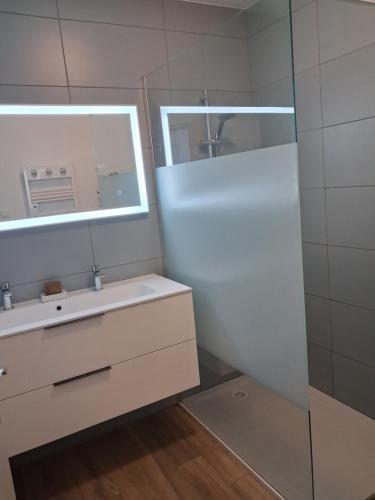 a bathroom with a sink and a mirror at Hebergement calme et verdoyant 