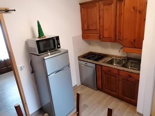 a kitchen with a microwave on top of a refrigerator at Appartamenti Pila Vacanze 2 in Cerise