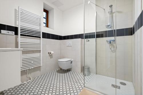 a bathroom with a toilet and a glass shower at Ubytování Dva v centru in Velké Meziříčí