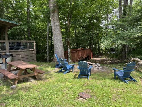 Home Sweet Home Cabin في Cosby: مجموعة من الكراسي وطاولة نزهة في العشب