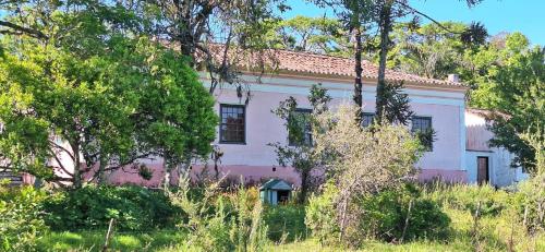 ein altes Haus mit Bäumen davor in der Unterkunft Rancho Bela Vista - o seu recanto em Pelotas in Pelotas