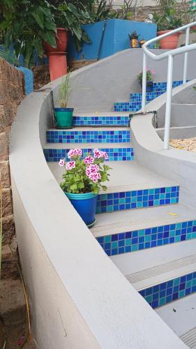 a set of stairs with potted flowers on them at John-Lou's Studio Flat in Windhoek