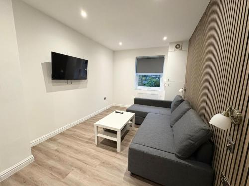a living room with a couch and a tv at Fonthill Aparts in London