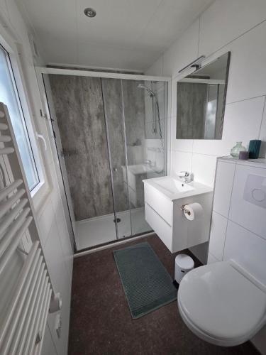a bathroom with a shower and a toilet and a sink at Natuurhuisje Hellendoorn in Haarle