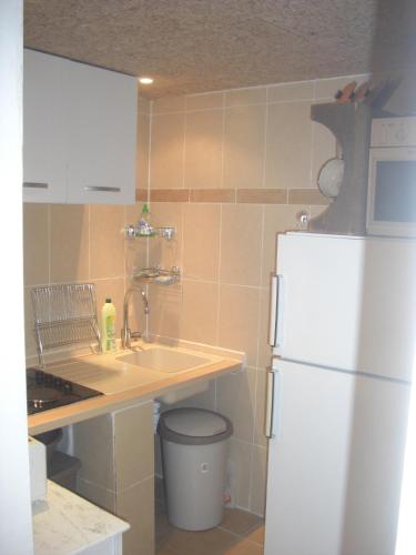 une cuisine avec un réfrigérateur blanc et un évier dans l'établissement Maisonnette du berger de Croccano, à Sartène