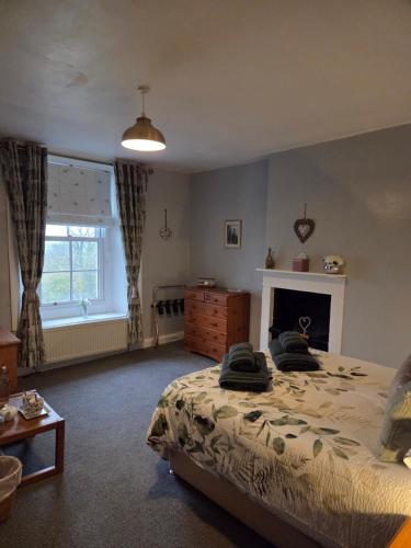 a bedroom with a bed and a dresser and a window at Rainors farm B&B in Gosforth