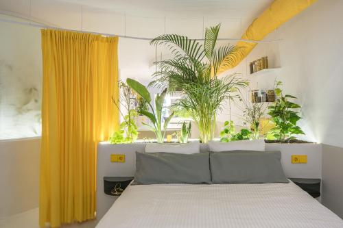 a bedroom with a bed with a yellow curtain and plants at Corrigan Estudio in Pinto