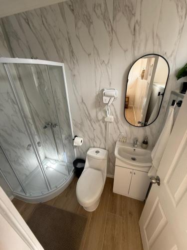 a bathroom with a toilet and a sink and a mirror at LITUECHE Casa Marea in El Rosario