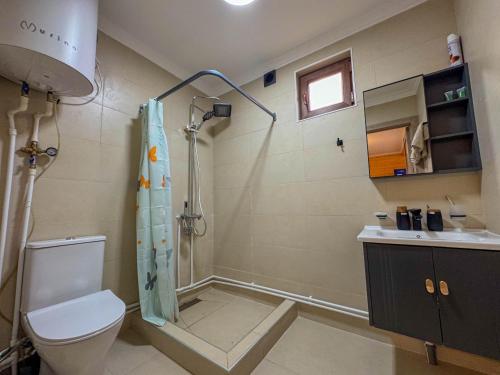 Ένα μπάνιο στο Forest Panorama House Dilijan