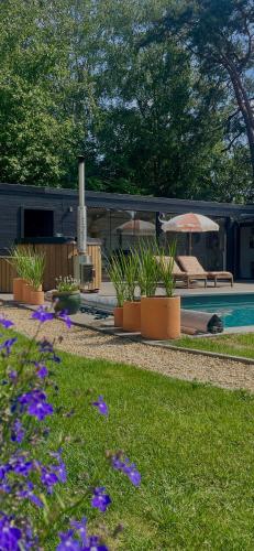 Piscina de la sau aproape de Chambre d Amis