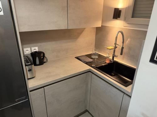 a small kitchen with a sink and a counter at Villeurbanne la soie - Rhône express in Villeurbanne