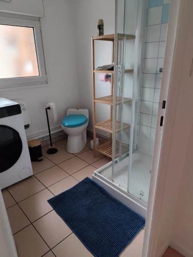 a bathroom with a toilet and a glass shower at Appartement 3 Chambres Bollezeele in Bollezeele