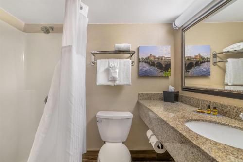 a bathroom with a toilet and a sink and a mirror at Best Western Plus Waltham Boston in Waltham
