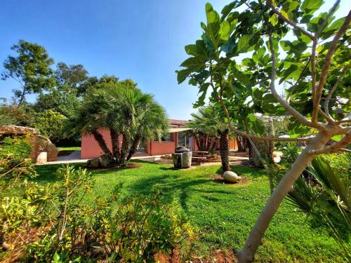 un jardin avec des palmiers et un bâtiment dans l'établissement ISA - Residence with swimming pool a few minutes from Alghero, à Santa Maria la Palma