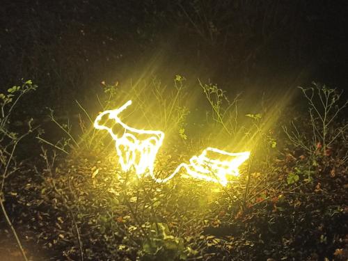 a light up giraffe in a field at night at Entre 2 Châteaux in Onzain