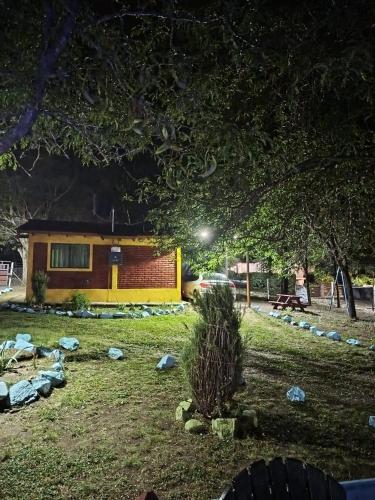 a cactus in the yard of a house at night at Cabañas Sensaciones Serranas in Casa Grande