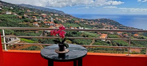 Apartamento Villa 4