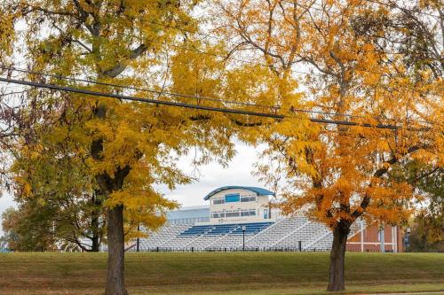 two trees with yellow leaves in front of a stadium at Jefferson & Grounds 3BR Steps from HWS and Hot Tub in Geneva