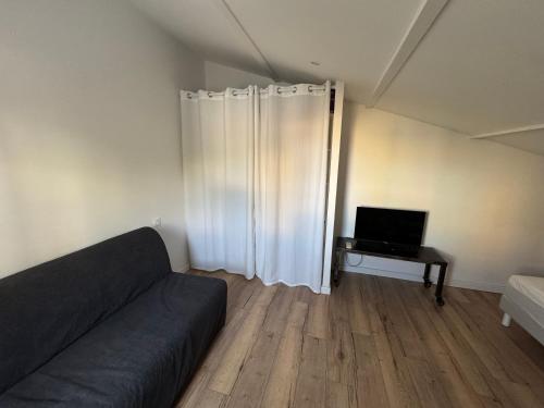 カネ・アン・ルシヨンにあるLe Navigateur - Canetoise refaite à neufのソファとテレビのあるリビングルーム