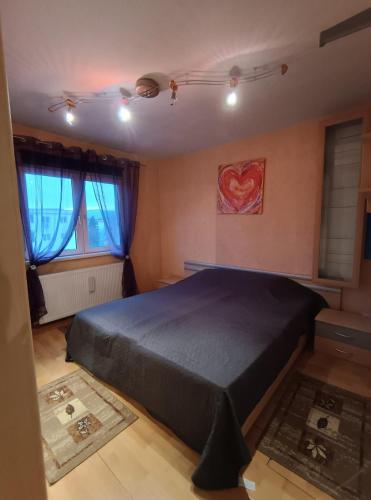 a bedroom with a large bed in a room at Classic Apartment in Sibiu