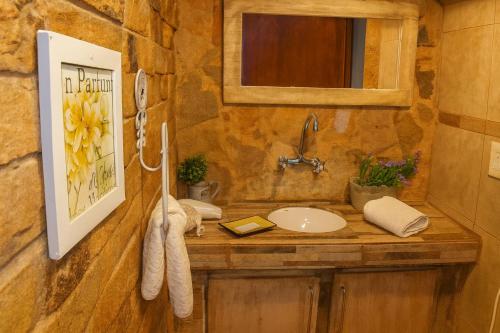 a bathroom with a sink and a mirror at Hotel Aparts Cabañas Tierra de Glaciares in El Calafate
