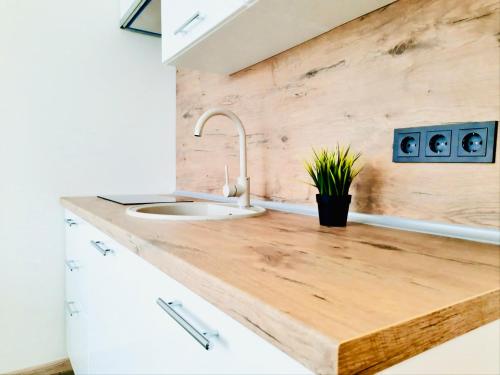 Fotografie z fotogalerie ubytování M&M Apartment VII Self CHECK-IN v destinaci Panevėžys