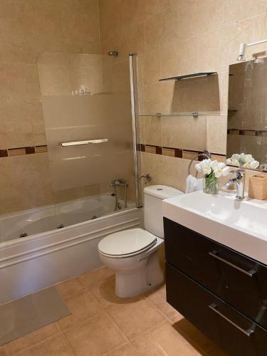 a bathroom with a toilet and a sink and a tub at Casa rural El Yelmo in Miguel Esteban
