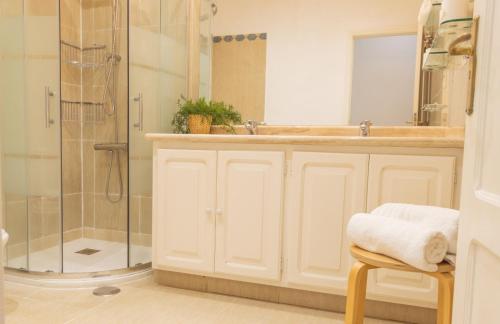 une salle de bain avec lavabo et douche dans l'établissement VV El Laurel, à Los Llanos de Aridane