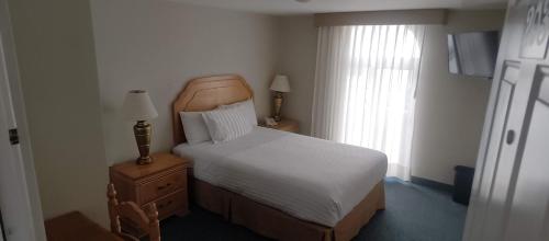 Postel nebo postele na pokoji v ubytování Biohotel Boutique Metepec