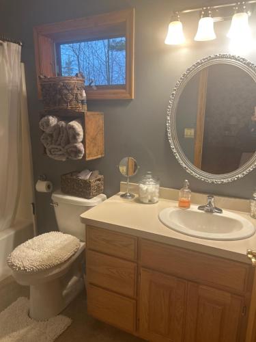 Un baño con lavabo, inodoro y espejo. en Bed and breakfast suite at the Wooded Retreat, en Pine City