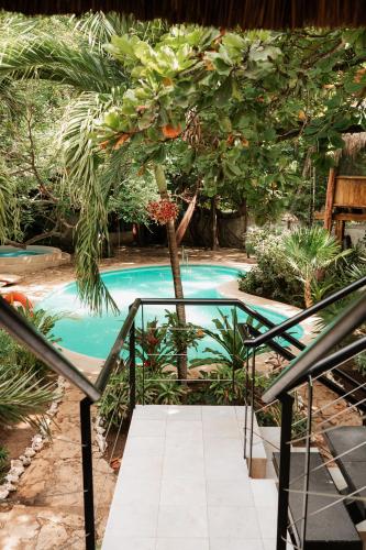 a staircase leading to a swimming pool with a tree at Na Balam Hotel in Isla Mujeres