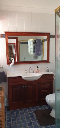 a bathroom with a sink and a mirror and a toilet at Ultima Thule Studio, South Durras in Durras