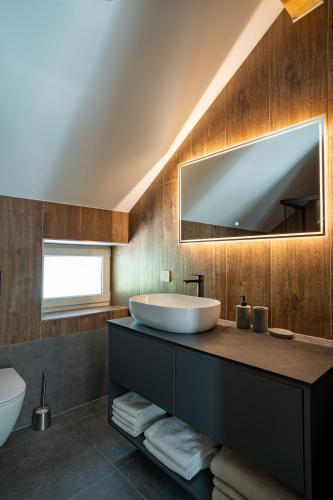 a bathroom with a sink and a mirror at Villa Peregrine Plitvice Lakes in Sokolac