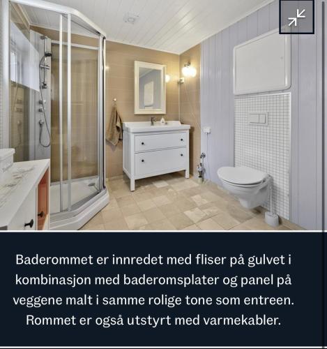 a bathroom with a shower and a toilet and a sink at Feriehus Tripperåsen Moi in Eikje