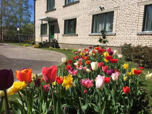 a bunch of flowers in front of a house at Strādnieku viesnīca in Ventspils