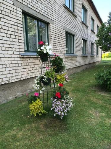 a flower garden in the yard of a house at Strādnieku viesnīca in Ventspils