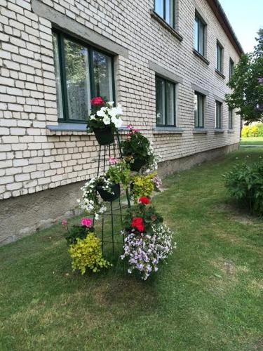 A patio or other outdoor area at Strādnieku viesnīca