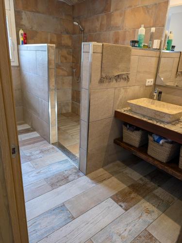 a bathroom with a shower and a sink at Can Altaba in Maçanet de la Selva