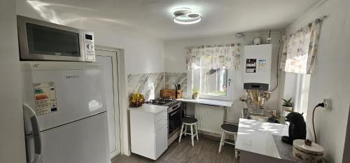 a small kitchen with a refrigerator and a sink at Urban Holiday Retreat in Craiova